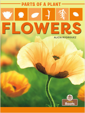 Cover: Flowers