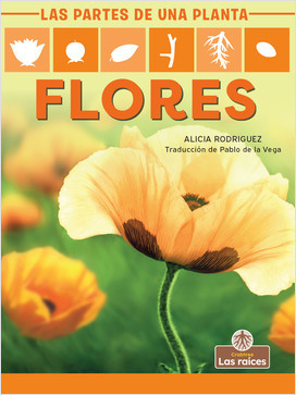 Cover: Flores (Flowers)