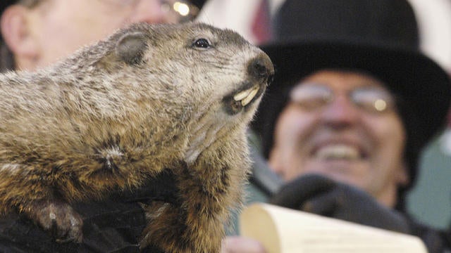 Punxsutawney Phil Predicts Six More Weeks Of Winter 