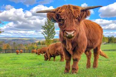 vermont farm stay airbnb