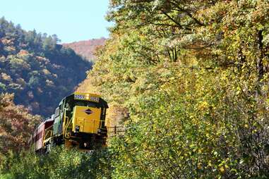 reading blue mountain and northern train