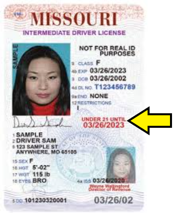 image of a person's driver's license