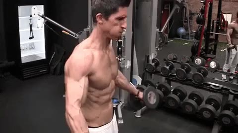 straight dumbbell lateral raise