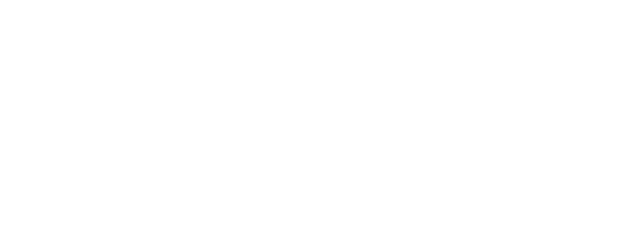 APGA Logo