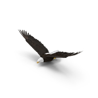 Bald Eagle Flying PNG & PSD Images