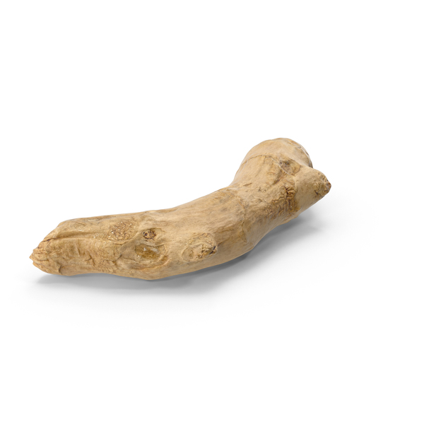 Ginger Root PNG & PSD Images