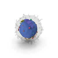 Lymphocyte Blood Cell PNG & PSD Images