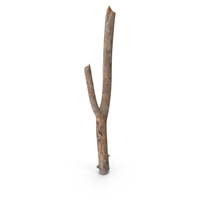 Twig Scanned PNG & PSD Images