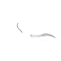 Straight Eyebrows PNG & PSD Images