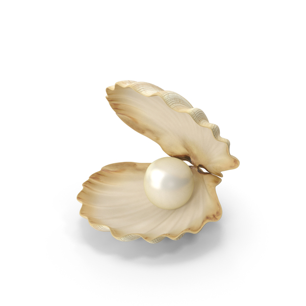 In: Sea Shell With Pearl PNG & PSD Images