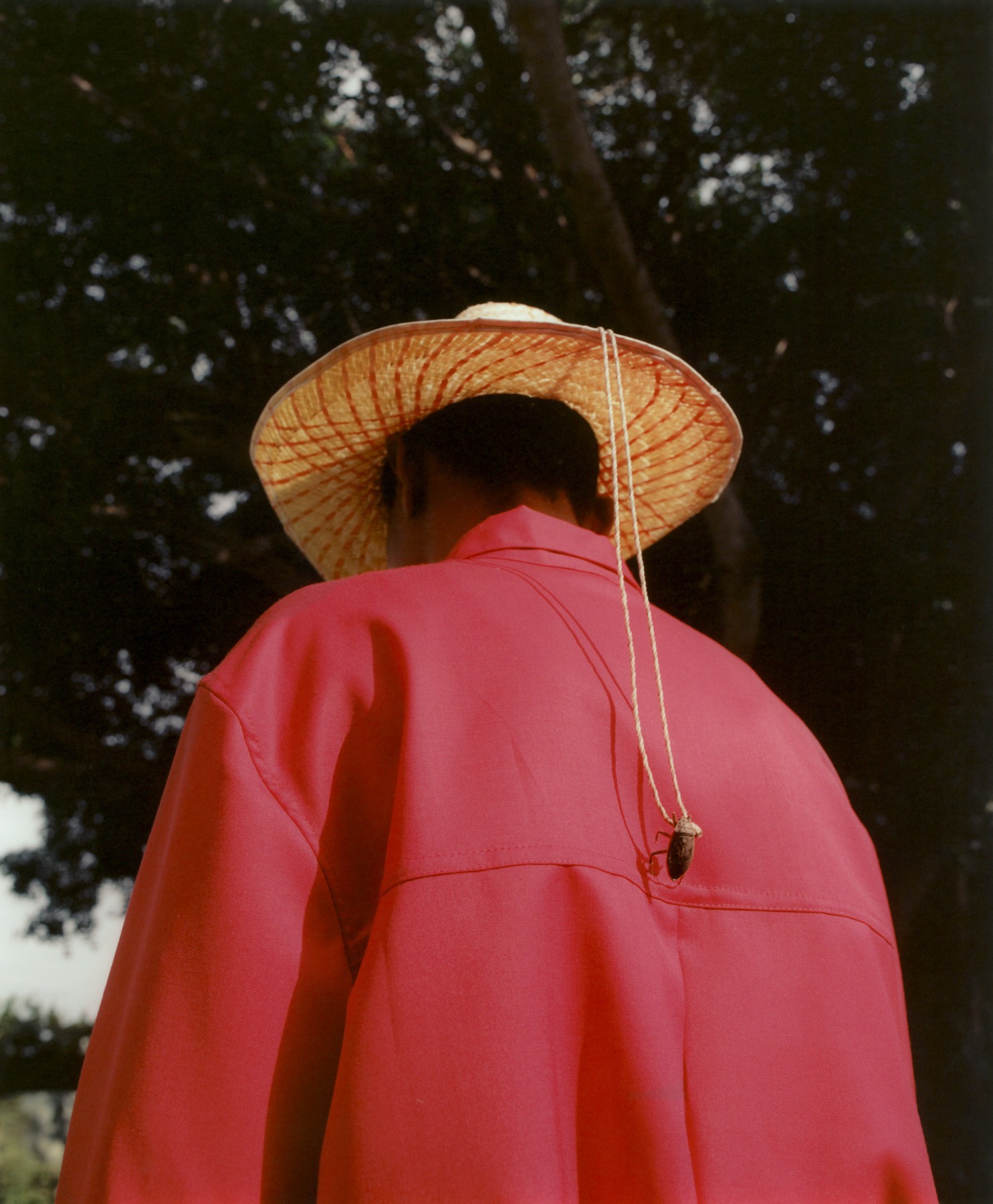 A Venezuelan man wearing a straw hat and a pink shirt turns his back toward the camera.