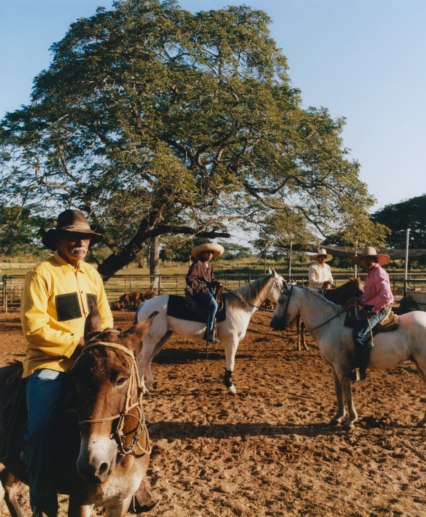 Four Venezuelan men sit on their horses in a stable in Venezuela.