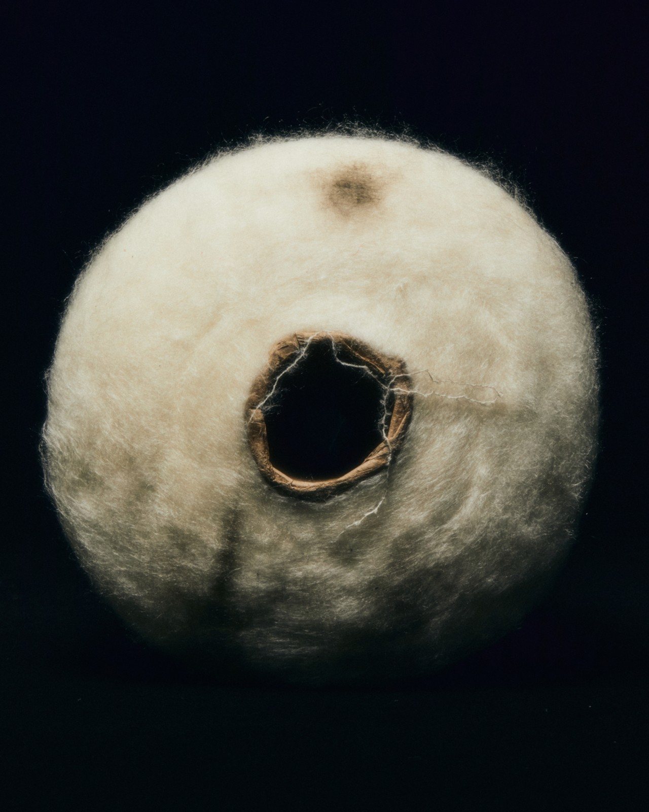 A spool of wool that could be used as a biomaterial.