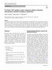 Research paper thumbnail of The Netrin-1/DCC guidance system: dopamine pathway maturation and psychiatric disorders emerging in adolescence