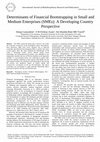 Research paper thumbnail of Determinants of Financial Bootstrapping in Small and Medium Enterprises (SMEs): A Developing Country Perspective