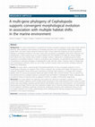 Research paper thumbnail of A multi-gene phylogeny of Cephalopoda supports convergent morphological evolution in association with multiple habitat shifts in the marine environment