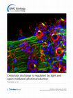 Research paper thumbnail of Cnidocyte discharge is regulated by light and opsin-mediated phototransduction