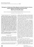 Research paper thumbnail of Phylogeny of Salmonine Fishes Based on Growth Hormone Introns: Atlantic (Salmo) and Pacific (Oncorhynchus) Salmon Are Not Sister Taxa* 1