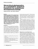 Research paper thumbnail of Hierarchical Phylogenetics As a Quantitative Analytical Framework for Evolutionary Developmental Biology