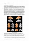 Research paper thumbnail of Els primers hominoides