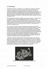 Research paper thumbnail of Paranthropus