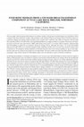 Research paper thumbnail of Eyed Bone Needles from a Younger Dryas Paleoindian Component at Tule Lake Rock Shelter, Northern California