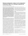 Research paper thumbnail of Molecular Phylogenetic Evidence for the Independent Evolutionary Origin of An Arthropod Compound Eye