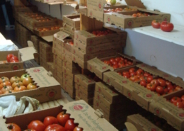 boxed tomatoes