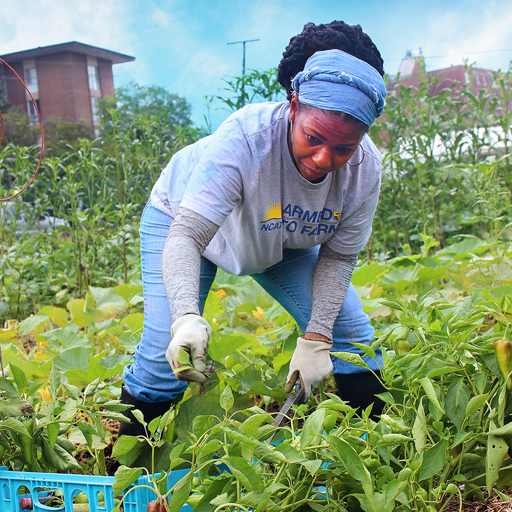 Veteran working at Common Good City Farm