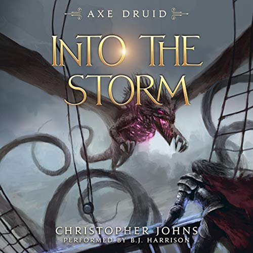 Into the Storm By Christopher Johns