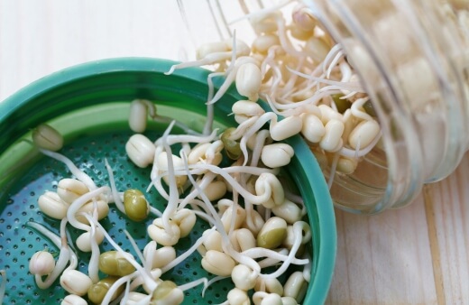 Best Sprouting Jars in Australia