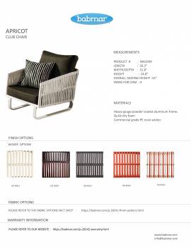 Apricot Club Chair - Image 2