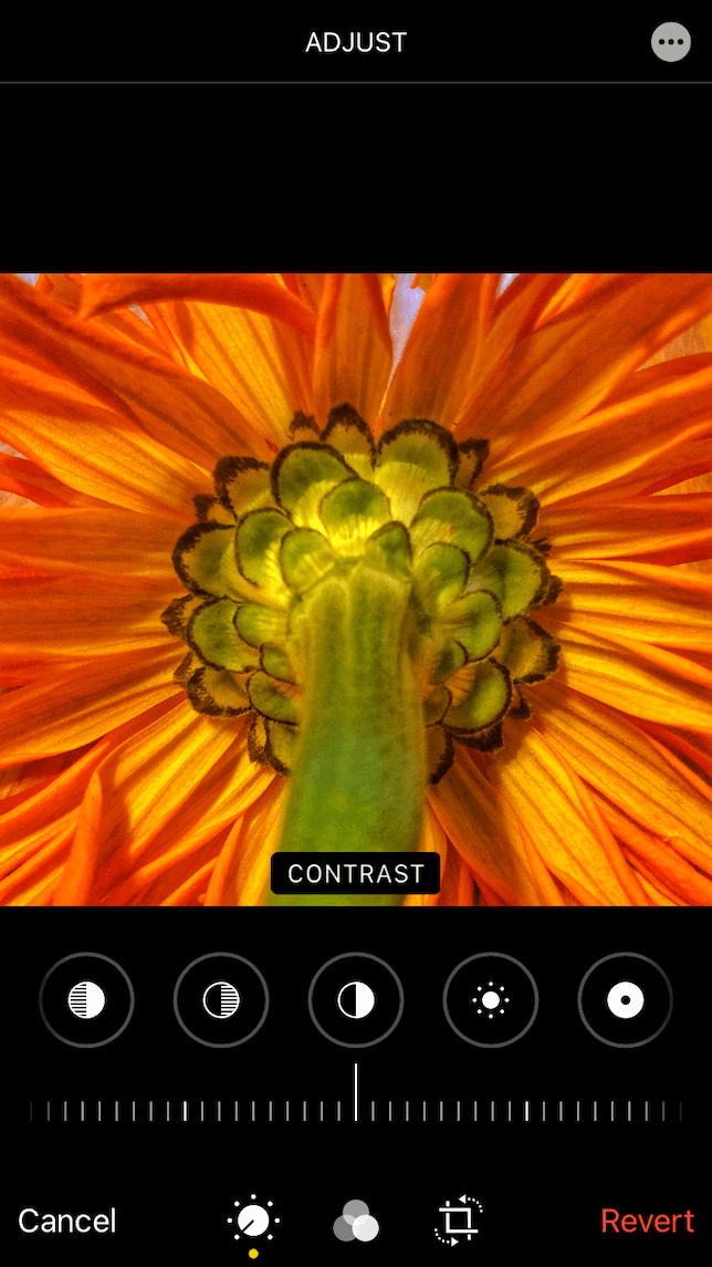 A screenshot showing the Contrast slider on the iPhone Photos app.