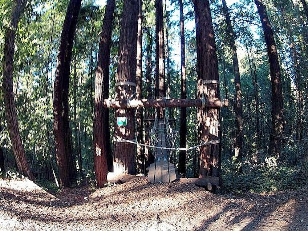 Ziplining course in the redwoods