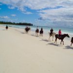 Freeport beach Horseback riding