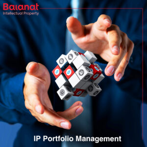 IP Portfolio Management