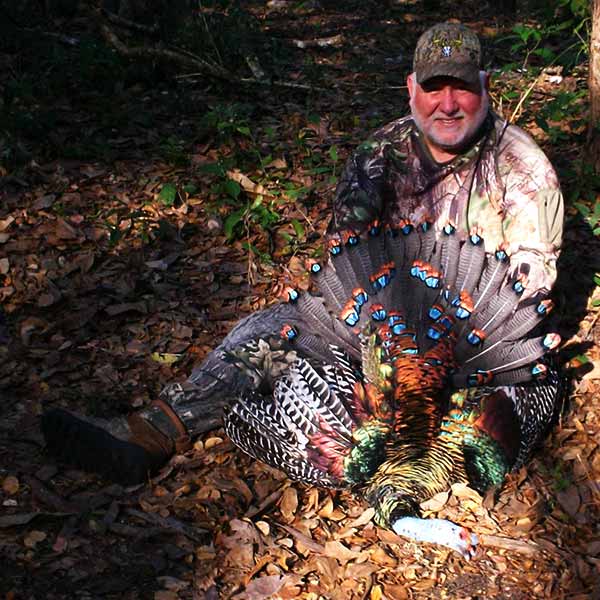 Ocellated Turkey Hunting Trip Photos - Ballam Outfitters - Mexico Hunts