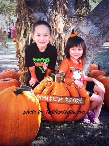 Pumpkin Patch Fun