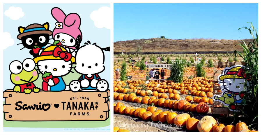 A limited edition collection of commemorative Sanrio ♥ Tanaka Farms merchandise will also be available for purchase at the Farm’s Market Stand.