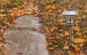 a light on the ground with leaves on the ground