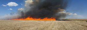 a prescribed burn of a field