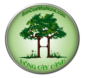 bancuanhanong.com