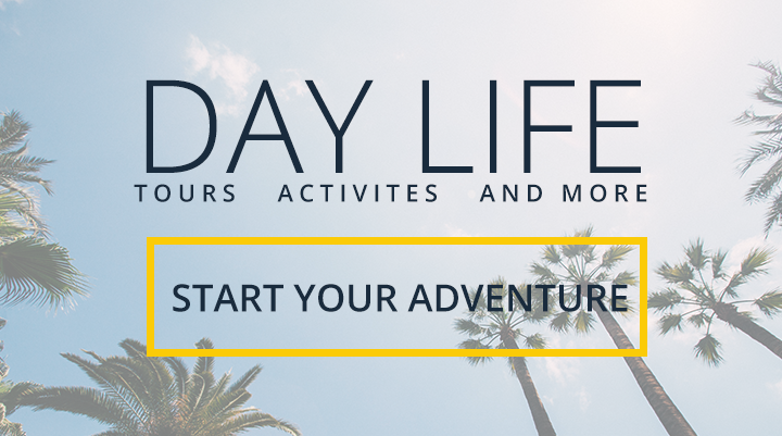 Day life - Tours, activities and more - Barcelona-Home