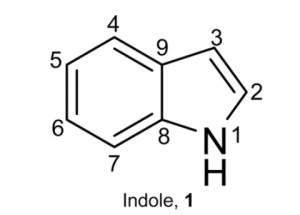 indole.stec.jan.15