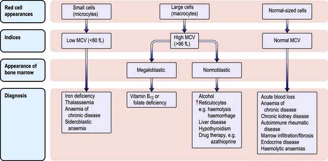 Haematological disease | Basicmedical Key