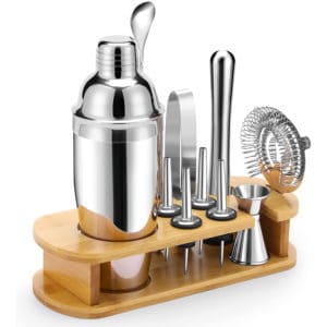 Affordable Cocktail Shaker Set