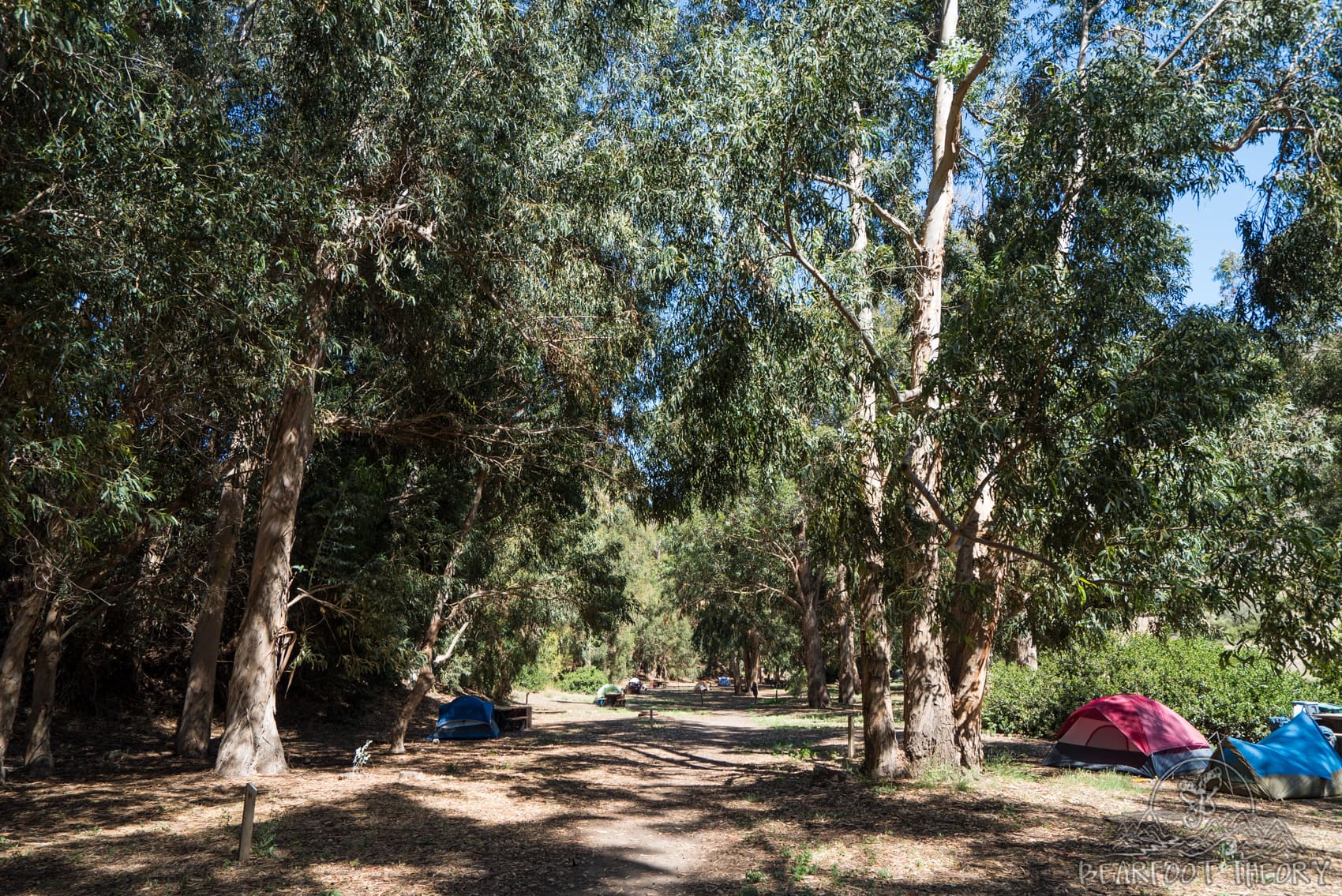 Camping at Scorpion Ranch Campground on Santa Cruz Island // Discover the best things to do on Santa Cruz Island in the Channel Islands including kayaking, snorkeling, hiking, camping, and more!