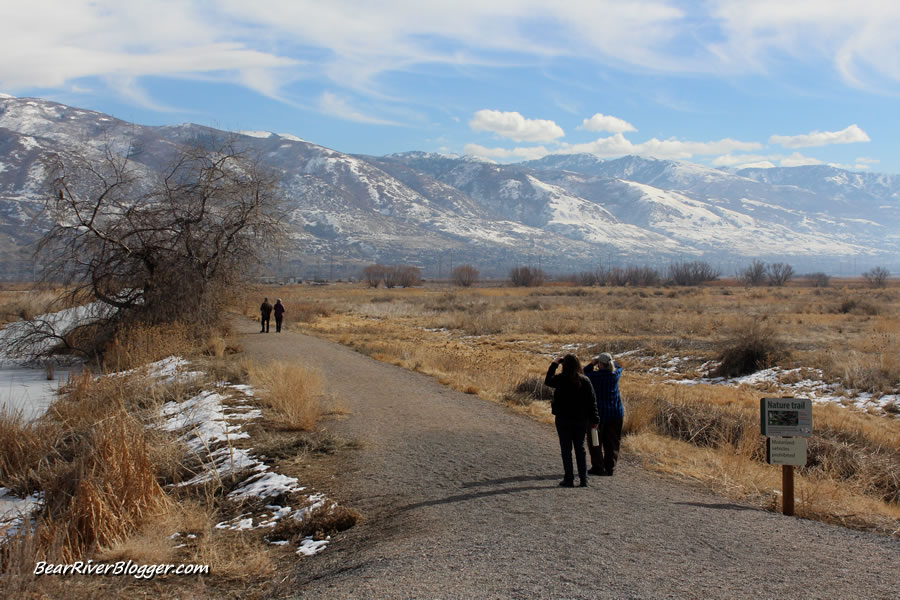 farmington bay wma wetlands trail