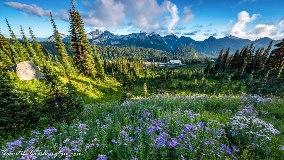 Photo from Washington State