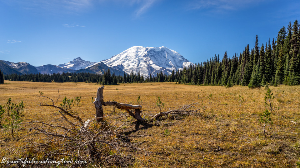 Photo from Washington State